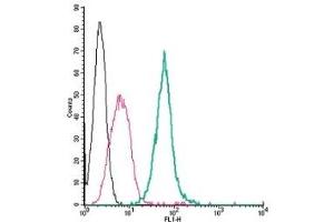 Cell surface detection of Neuropilin-1 by direct flow cytometry in live intact mouse J774 macrophage cells: (black line) Cells. (Neuropilin 1 antibody  (Extracellular) (FITC))
