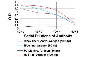 ELISA analysis of KHDRBS2 monoclonal antibody, clone 7G8C10  at 1:10000 dilution. (KHDRBS2 antibody  (AA 160-349))
