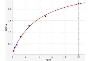 Membrane Metallo-Endopeptidase (MME) ELISA Kit