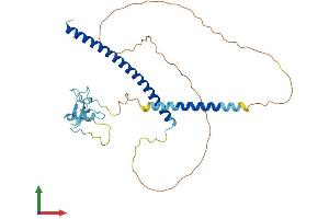 AlphaFold protein structure predicition of Human Recombinant THAP11 Protein, UniprotID Q96EK4 (THAP11 Protein (AA 1-314) (His tag))