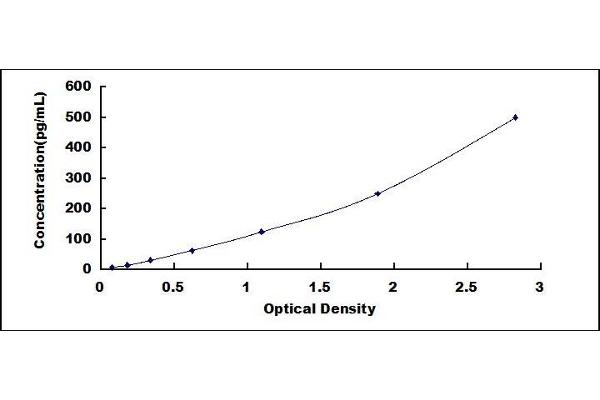 DEFB126 ELISA Kit