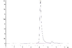 The purity of Mouse ARTN is greater than 95 % as determined by SEC-HPLC. (ARTN Protein (AA 112-224) (Fc Tag))