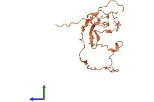 AlphaFold protein structure predicition of Human Recombinant KIF25-AS1 Protein, UniprotID Q9Y6Z4 (KIF25-AS1 Protein (AA 1-181) (His tag))