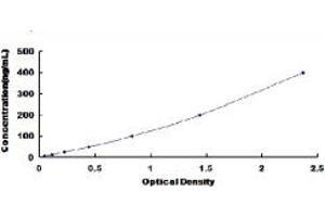 Typical standard curve (Selectin E/CD62e ELISA Kit)