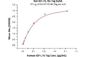 Immobilized Rat IGF-I R, His Tag (ABIN6253207,ABIN6253547) at 5 μg/mL (100 μL/well) can bind Human IGF-I, Fc Tag (ABIN2181263,ABIN2181262) with a linear range of 0. (IGF1R Protein (AA 31-936) (His tag))