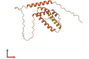AlphaFold protein structure predicition of Human Recombinant IDI2-AS1 Protein, UniprotID Q9NZ38 (IDI2-AS1 Protein (AA 1-188) (His tag))