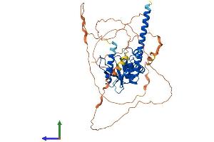 AlphaFold protein structure predicition of Mouse Recombinant Otud1 Protein, UniprotID Q9CUB6 (OTUD1 Protein (AA 1-454) (His tag))