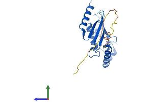 AlphaFold protein structure predicition of Human Recombinant UBE2T Protein, UniprotID Q9NPD8 (Ube2t Protein (AA 1-197) (His tag))