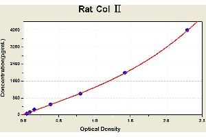 Diagramm of the ELISA kit to detect Rat Col 2with the optical density on the x-axis and the concentration on the y-axis. (COL2 ELISA Kit)