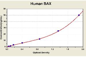BCL2-Associated X Protein (BAX) ELISA Kit