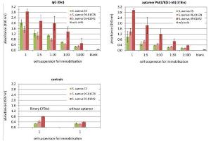 Image no. 3 for Human IgG isotype control (Biotin) (ABIN964323)