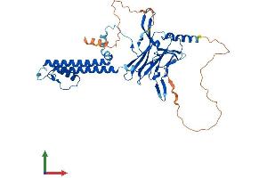 AlphaFold protein structure predicition of Mouse Recombinant Kcnj14 Protein, UniprotID Q8JZN3
