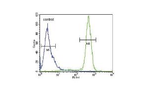 SCN1B Antibody (N-Term) (ABIN654602 and ABIN2844301) flow cytometric analysis of Hela cells (right histogram) compared to a negative control cell (left histogram). (SCN1B antibody  (N-Term))