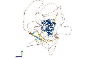 Protein Structure (PS) image for PHD Finger Protein 2 (PHF2) (AA 1-1096) protein (His tag) (ABIN7554975)