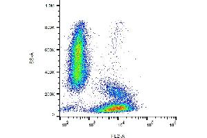 Flow cytometry analysis (surface staining) of CD49d in human peripheral blood leukocytes with anti-CD49d (9F10) PE. (ITGA4 antibody  (PE))
