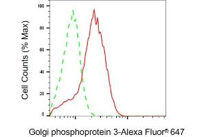 Flow cytometric analysis of Golgi phosphoprotein 3 expression in HepG2 cells using Golgi phosphoprotein 3 antibody (ABIN7798794), 1:2,000). (GOLPH3 antibody)