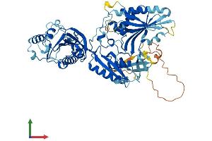 AlphaFold protein structure predicition of Human Recombinant FDXACB1 Protein, UniprotID Q9BRP7 (FDXACB1 Protein (AA 1-624) (His tag))