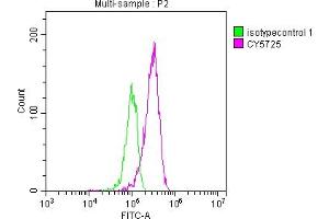 Overlay histogram showing HepG2 cells stained with ABIN7127850 (red line) at 1:50. (Recombinant Topoisomerase I antibody)