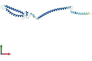 AlphaFold protein structure predicition of Mouse Recombinant Mis12 Protein, UniprotID Q9CY25 (MIS12 Protein (AA 1-206) (His tag))