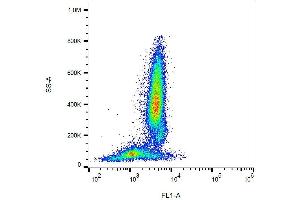 Surface staining of human peripheral blood cells with anti-CD95 (LT95) FITC. (FAS antibody  (FITC))