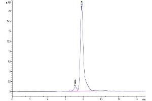 The purity of Cynomolgus AMIGO2 is greater than 95 % as determined by SEC-HPLC. (AMIGO2 Protein (AA 39-397) (His tag))