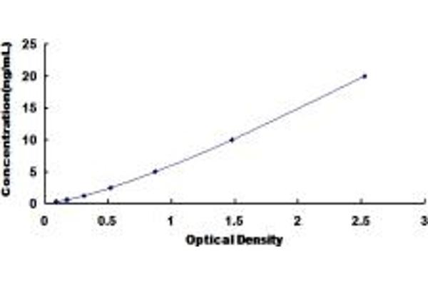 DPP8 ELISA Kit