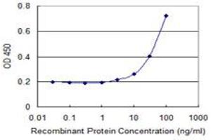 Detection limit for recombinant GST tagged KRT13 is 1 ng/ml as a capture antibody. (Cytokeratin 13 antibody  (AA 258-357))