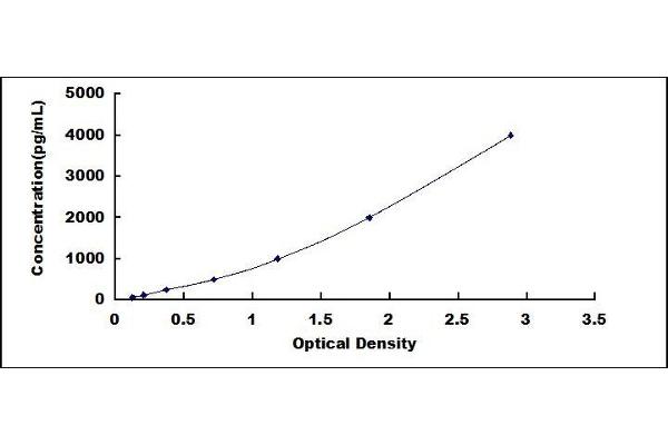 CRHBP ELISA Kit