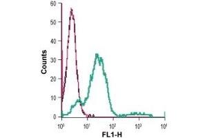 GPR65 antibody  (1st Extracellular Loop)