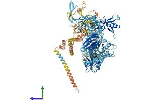 AlphaFold protein structure predicition of Human Recombinant ERVK-7 Protein, UniprotID P63135 (ERVK-7 Protein (AA 1-1459) (His tag))