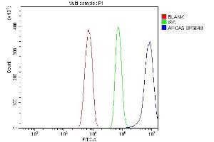 Flow Cytometry analysis of RH35 cells using anti-Apolipoprotein A V/APOA5 antibody (ABIN7602720). (APOA5 antibody  (AA 99-217))