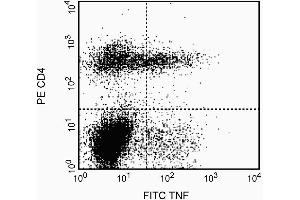 Expression of TNF by stimulated CD4+ and CD4- BALB/c spleen cells. (TNF alpha antibody)