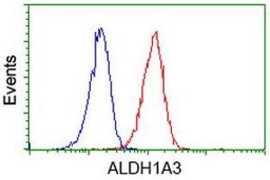 Flow Cytometry (FACS) image for anti-Aldehyde Dehydrogenase 1 Family, Member A3 (ALDH1A3) (AA 1-100), (AA 413-512) antibody (ABIN2715885) (ALDH1A3 antibody  (AA 1-100, AA 413-512))