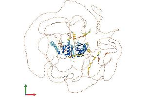AlphaFold protein structure predicition of Human Recombinant IRS4 Protein, UniprotID O14654 (IRS4 Protein (AA 1-1257) (His tag))