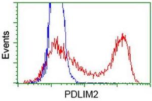 Flow Cytometry (FACS) image for anti-PDZ and LIM Domain 2 (PDLIM2) antibody (ABIN1500128)