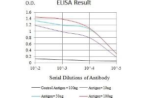 Black line: Control Antigen (100 ng),Purple line: Antigen (10 ng), Blue line: Antigen (50 ng), Red line:Antigen (100 ng) (ITGA4 antibody  (AA 833-977))