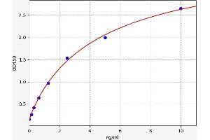 FBXO32 ELISA Kit