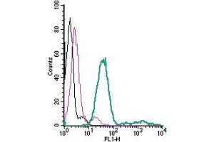 Cell surface detection of P2RX7 in live intact mouse  microglia cells: + rabbit IgG isotype control-FITC.
