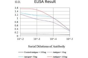 Black line: Control Antigen (100 ng),Purple line: Antigen (10 ng), Blue line: Antigen (50 ng), Red line:Antigen (100 ng) (Albumin antibody  (AA 410-609))