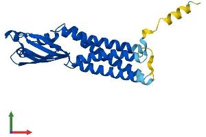 AlphaFold protein structure predicition of Mouse Recombinant Clrn1 Protein, UniprotID Q8K445 (Clarin 1 Protein (CLRN1) (AA 1-232) (His tag))