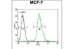 Flow cytometric analysis of MCF-7 cells (right histogram) compared to a negative control cell (left histogram). (MFAP4 antibody  (C-Term))
