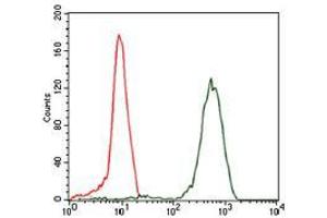 Flow cytometric analysis of HeLa cells using EIF4B mouse mAb (green) and negative control (red). (EIF4B antibody)