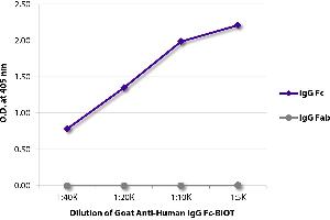 ELISA plate was coated with purified human IgG Fc and IgG Fab. (Goat anti-Human IgG (Fc Region) Antibody (Biotin))