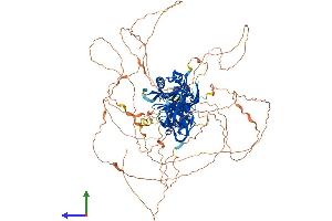 AlphaFold protein structure predicition of Human Recombinant INPP5J Protein, UniprotID Q15735 (INPP5J Protein (AA 1-1006) (His tag))
