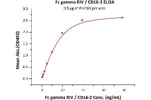 Immobilized FMC63 at 5 μg/mL (100 μL/well) can bind Biotinylated Mouse Fc gamma RIV, His,Avitag (BLI verified) (ABIN6810039,ABIN6938878) with a linear range of 0. (Fc gamma RIV / CD16-2 (AA 21-203) (Active) protein (His tag,AVI tag,Biotin))