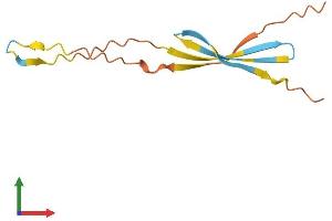 AlphaFold protein structure predicition of Human Recombinant BVES-AS1 Protein, UniprotID Q5T3Y7 (C6orf112 Protein (AA 1-98) (His tag))
