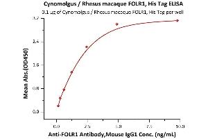 Immobilized Cynomolgus / Rhesus macaque FOLR1, His Tag (ABIN5674653,ABIN6386457) at 1 μg/mL (100 μL/well) can bind A Antibody,Mouse IgG1 with a linear range of 0. (FOLR1 Protein (AA 25-233) (His tag))