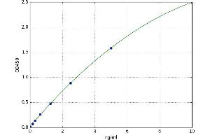 Sulfotransferase Family, Cytosolic, 1A, Phenol-Preferring, Member 1 (SULT1A1) ELISA Kit