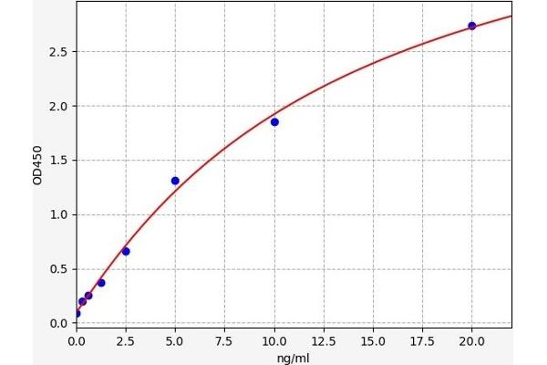 ALOX12 ELISA Kit