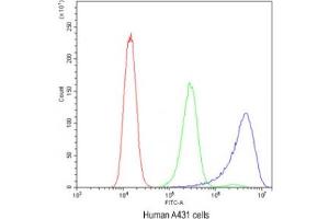 Flow cytometry testing of human A431 cells with Ataxin-2 antibody at 1ug/10^6 cells (blocked with goat sera)